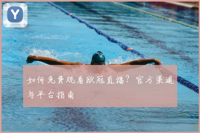 如何免费观看欧冠直播？官方渠道与平台指南