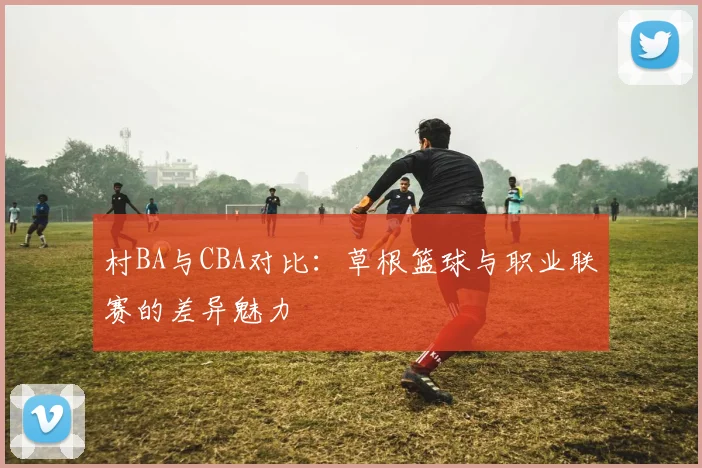 村BA与CBA对比：草根篮球与职业联赛的差异魅力